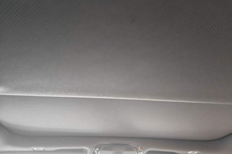 Used BMW 5 Series 2020 530Li Luxury Edition M Sport Package Headliner