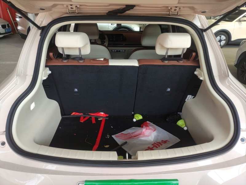 Used ORA Good Cat 2022 Morandi Edition 400km Standard Range Luxury Version Lithium-Ion Battery — 18