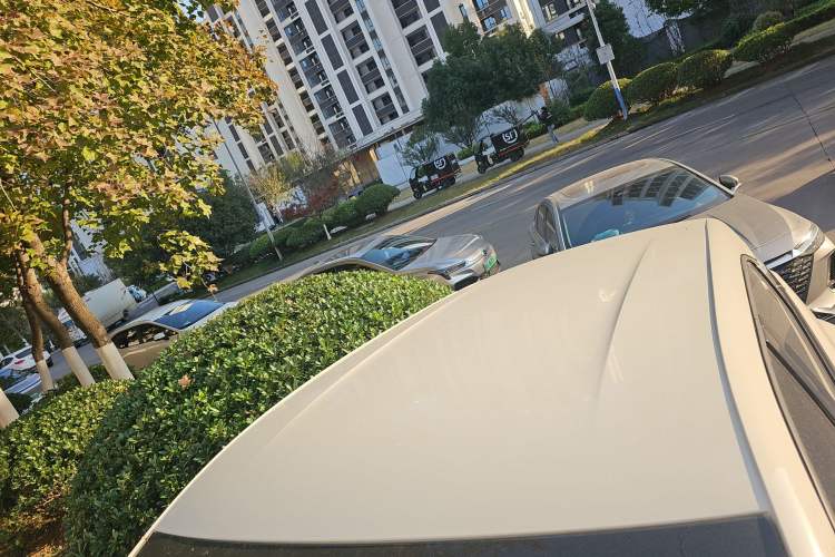 Used BYD Seagull 2025 305km Active Version
