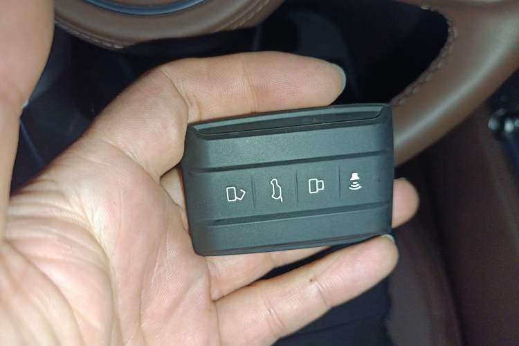 Used Tank 700 New Energy 2024 Hi4-T Extreme Edition