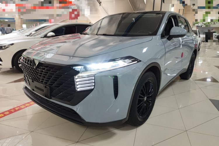 Used Venucia V 2021 260T Idol Edition