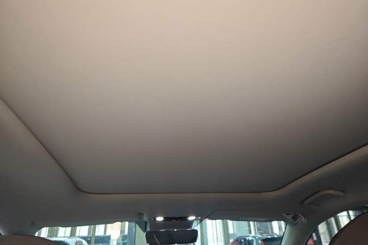 Used Leapmotor C11 2021 Zhixing Edition 510
