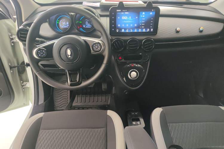 Used ORA Black Cat 2022 Updated Version 301 km Cute Pet Edition Lithium Iron Phosphate