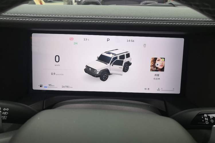 Used Tank 300 2025 2.0T Conqueror
