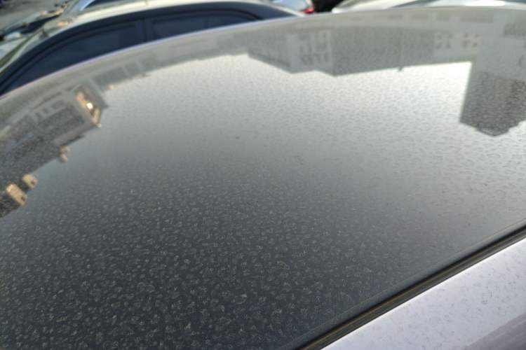 Used BYD Dolphin 2023 420 km Fashion Edition