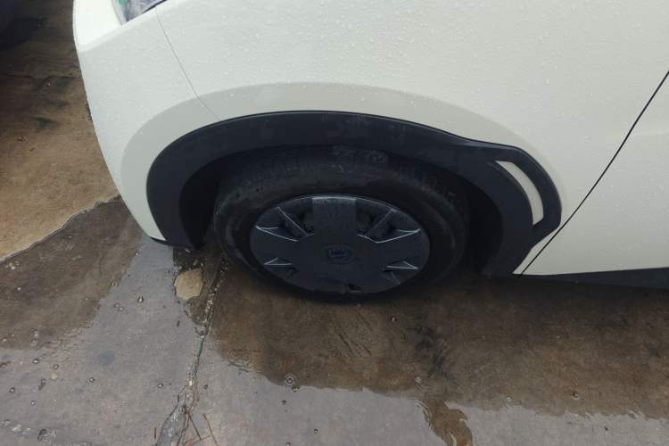 Used BYD Seagull 2025 305 km Free Version