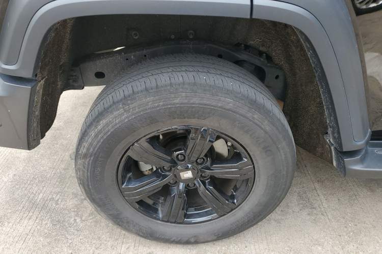 Used Tank 300 2025 2.0T Conqueror