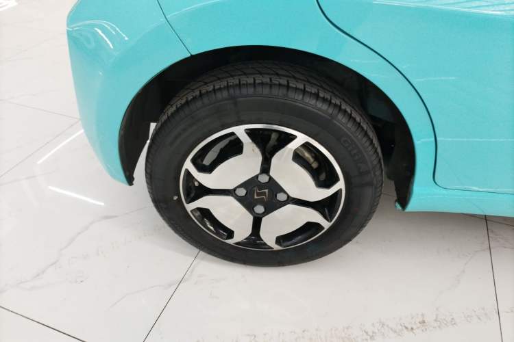 Used SOL E10X 2022 Flower Fairy Style Baby's Breath
