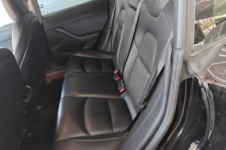 Used Tesla Model 3 2021 Standard Range Rear-Wheel Drive Upgraded Version 3D6