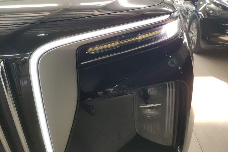 Used Hongqi E-HS9 2021 460 km Range Flagship Edition Six-Seater