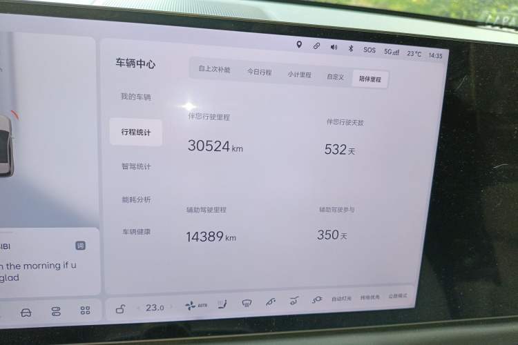 Used Li Auto L6 2024 Max Odometer Close Up