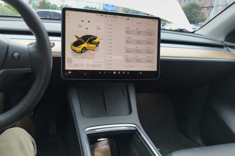 Used Tesla Model Y 2022 Rear-Wheel-Drive Version