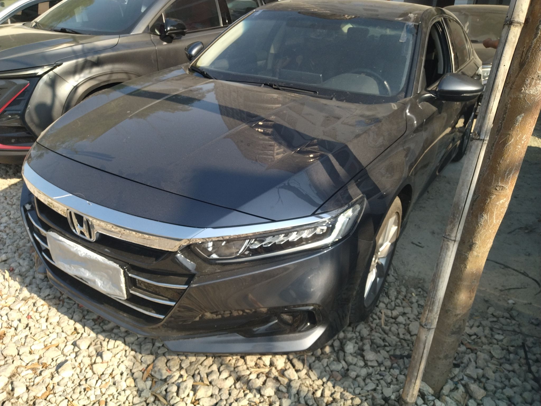 Parte inferior delantera