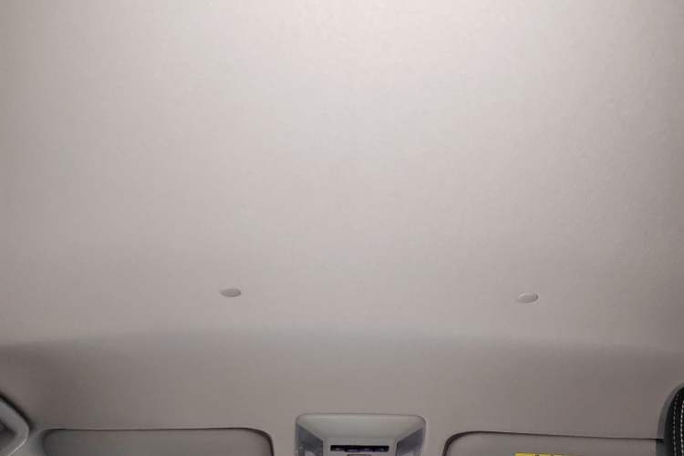 Used Toyota Wildlander 2022 Updated Version 2.0L CVT Two-Wheel Drive Leading Edition Headliner