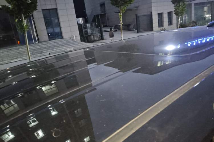 Used Hongqi HQ9 2023 2.0T Smart Connect Flagship Edition