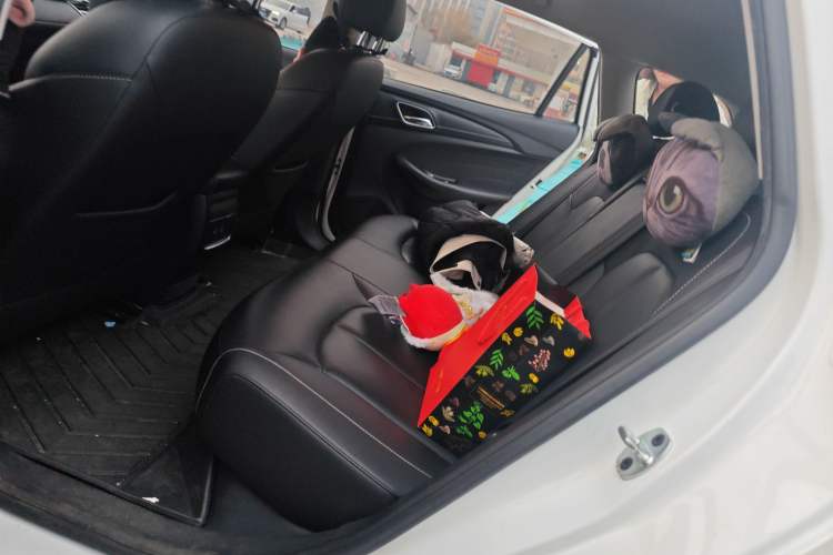 Used Roewe Ei5 2019 Comfort Edition
