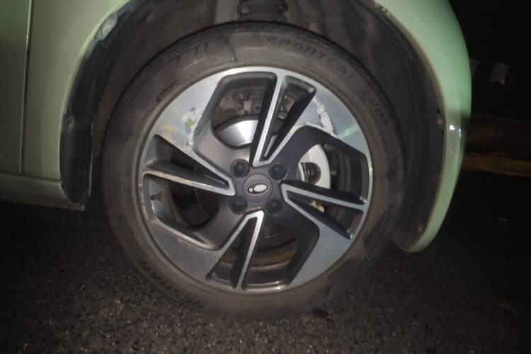 Used ORA White Cat 2020 305 km Luxury Version