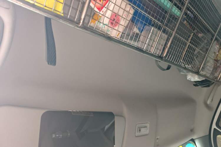 Used Foton Toano 2023 Urban Edition Van 2.0T Manual Short Wheelbase Low Roof Rear Single Tire 3-Seater Headliner