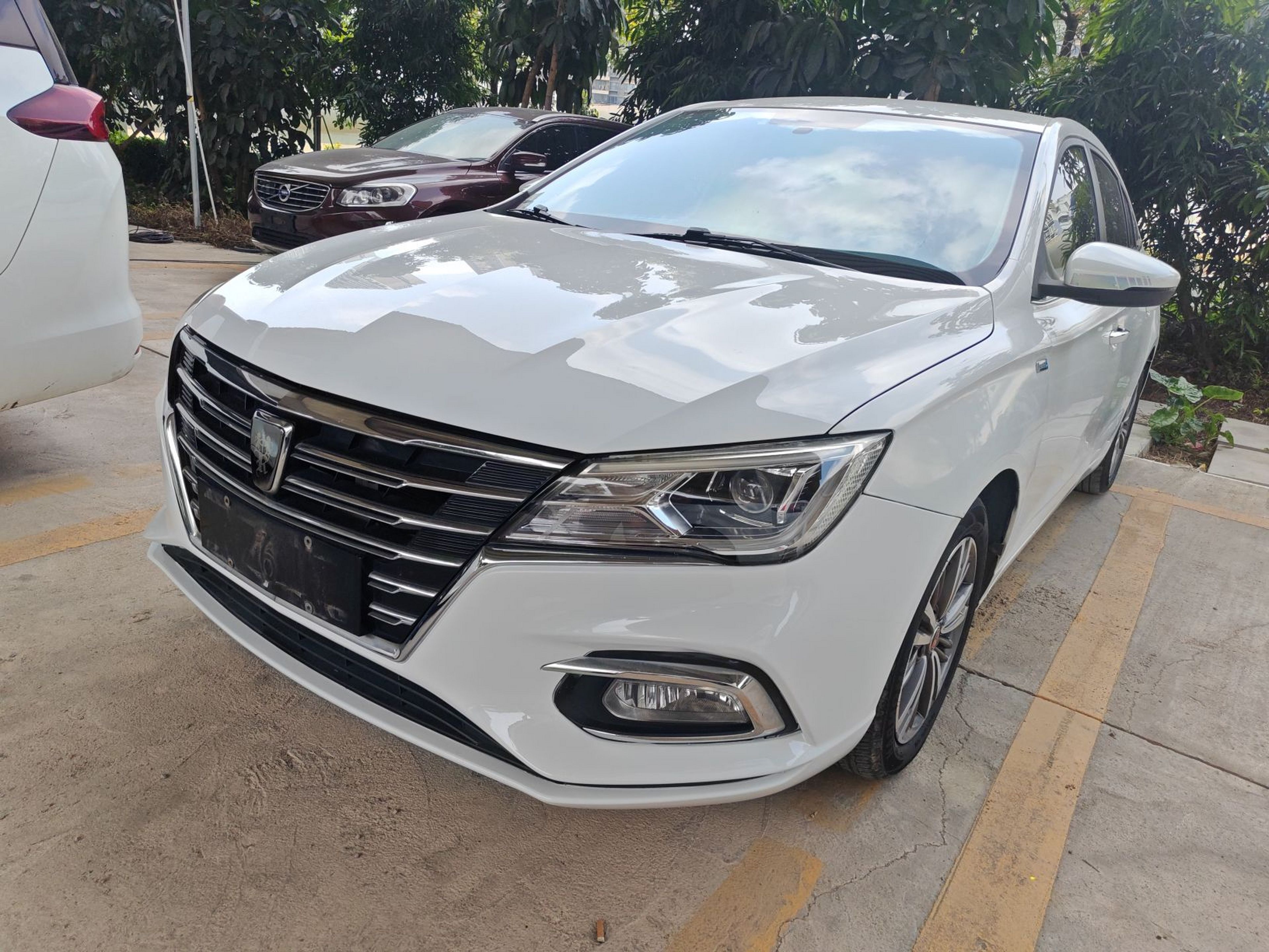Under Front Bumper