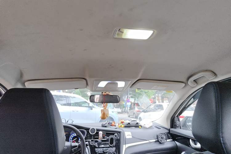 Used Venucia D60EV 2022 Standard Range Comfort Edition Headliner