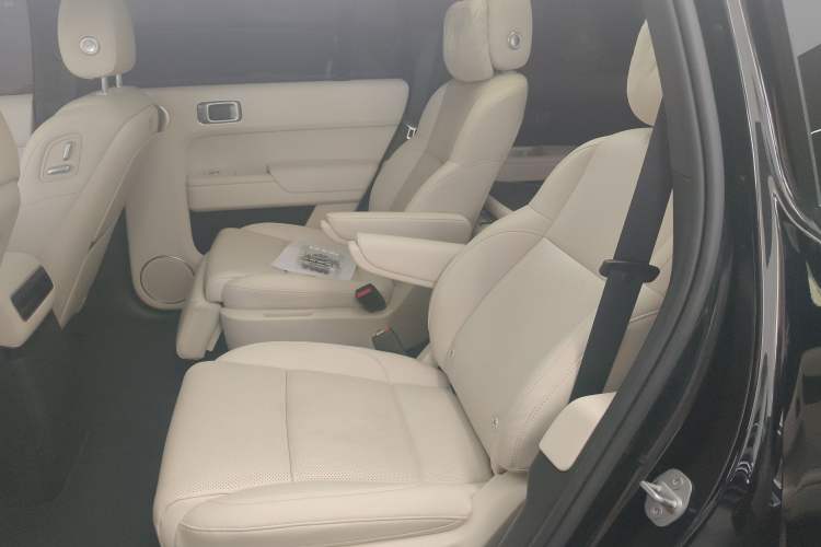 Used Li Auto L9 2024 Ultra Model Left Rear Seat