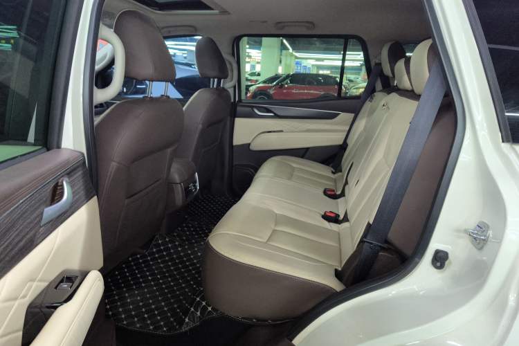 Used Dongfeng Fengdu Paladin 2023 2.0T Four-Wheel Drive Luxury Edition