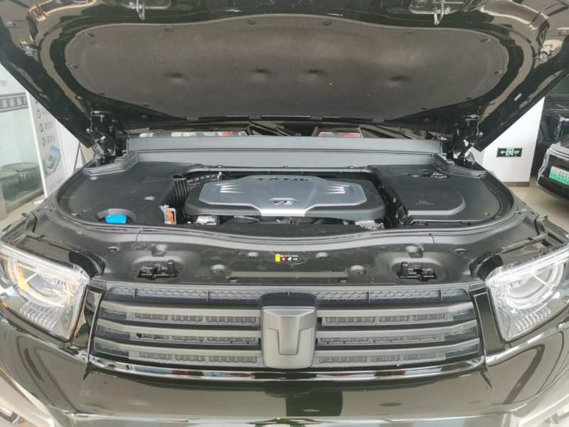 Used Tank 700 New Energy 2024 Hi4-T Extreme Edition — 19