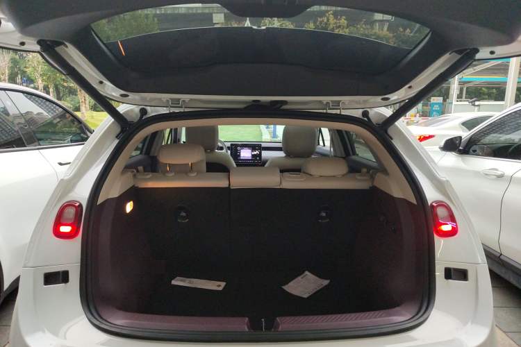 Used firefly firefly 2025 Illuminated Edition