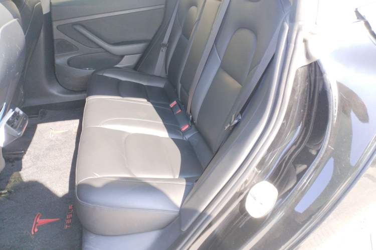 Used Tesla Model 3 2020 Revised Version Standard Range Rear-Wheel Drive – Upgraded Edition
