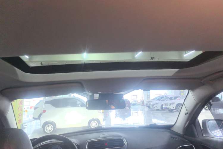 Used Ford Escort 2019 EcoBoost 125 Automatic Luxury Edition Headliner