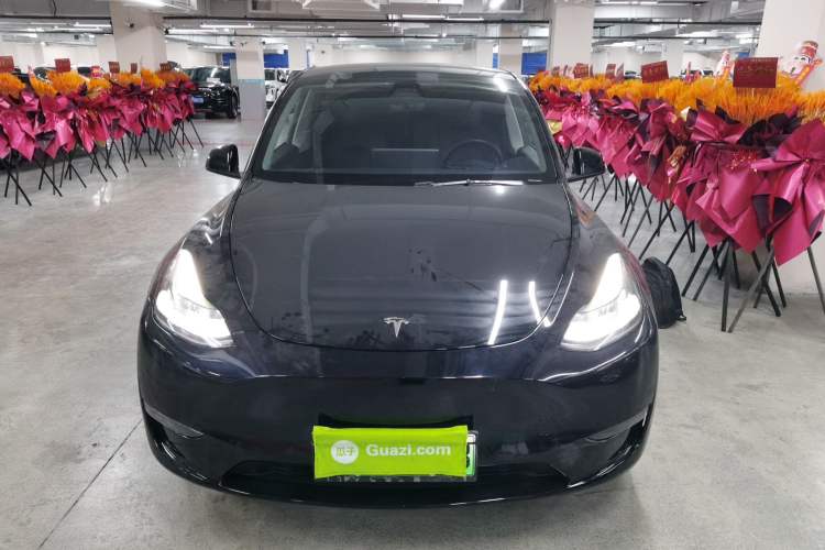 Used Tesla Model Y 2021 Standard Range Rear-Wheel Drive Version
