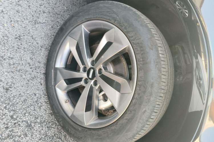 Used Wey Mocha New Energy 2023 Two-Wheel Drive Long-Range Version
