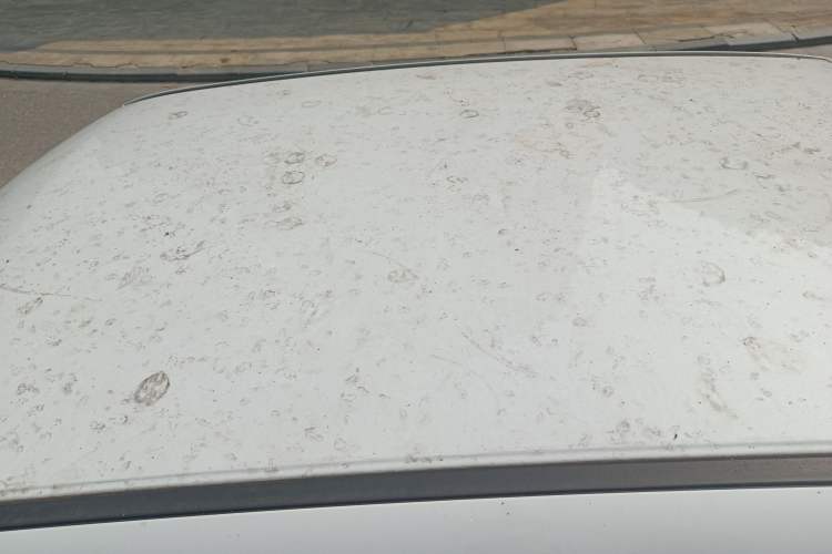 Used ORA White Cat 2022 Upgraded Model 305km Range Luxury Version Lithium-Ion Battery