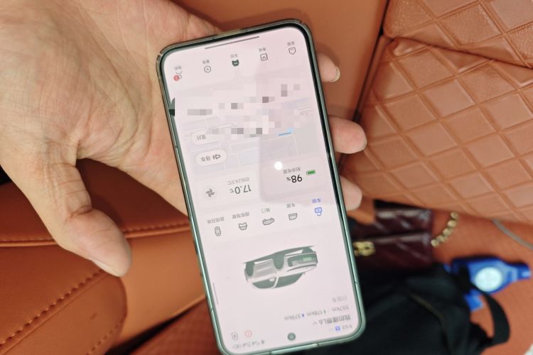 Used Li Auto L6 2024 Pro Model