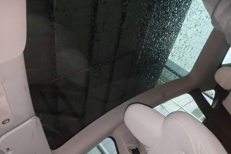 Used Tesla Model Y 2023 High-Performance All-Wheel-Drive Version
