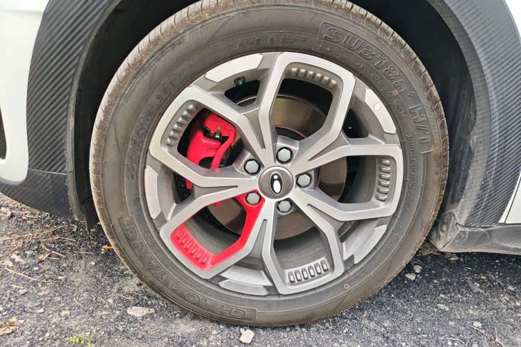 Used ORA Good Cat GT 2025 Model, Mulan Edition, 430km Luxury Version
