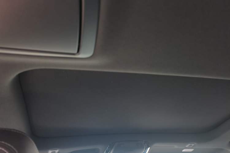 Used BMW 5 Series 2023 530Li Leading Model M Sport Package Headliner