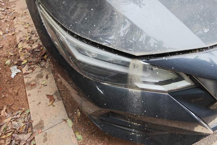 Used Nissan Sylphy 2020 1.6L XL CVT Enjoyment Edition Right Front Headlight