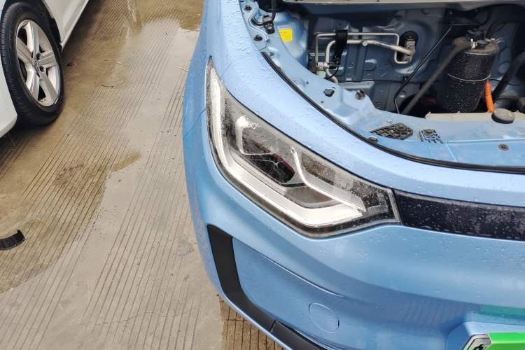 Used SOL E10X 2022 Flower Fairy Design Four-Leaf Clover
