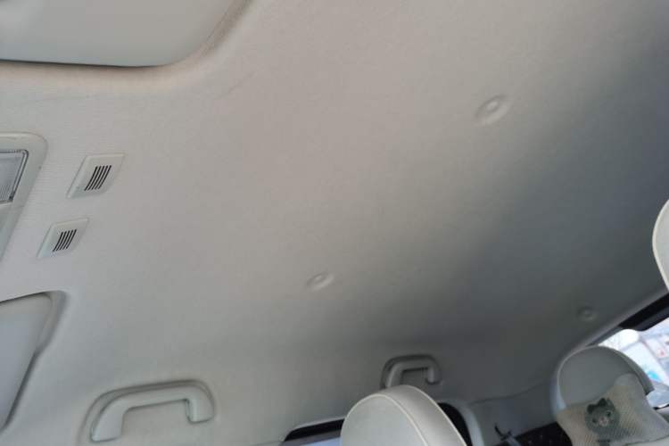 Used ORA White Cat 2020 360 km Luxury Version Headliner