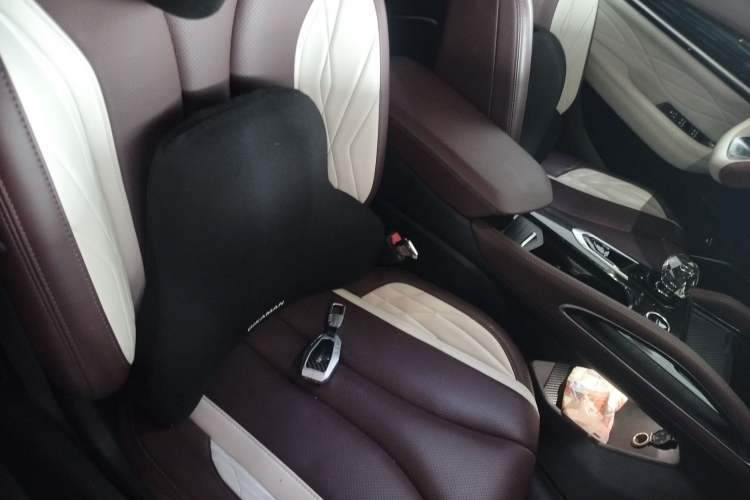 Used Geely Auto Monjaro L 2021 2.0TD DCT EVO Two-Wheel Drive Smart Luxury Version Right Front Seat