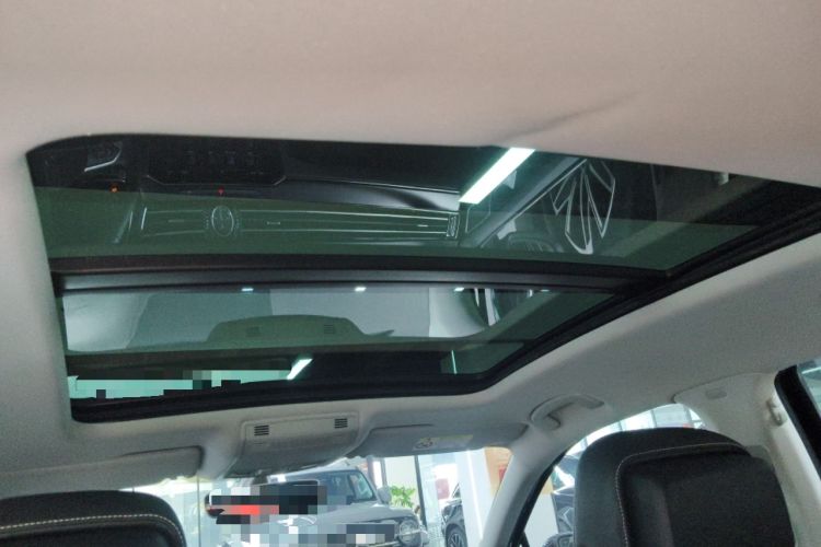 Used Volkswagen Magotan 2020 330TSI DSG Luxury Edition
