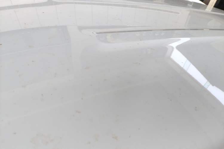 Used AION Y 2023 Plus 510 Enjoy Edition
