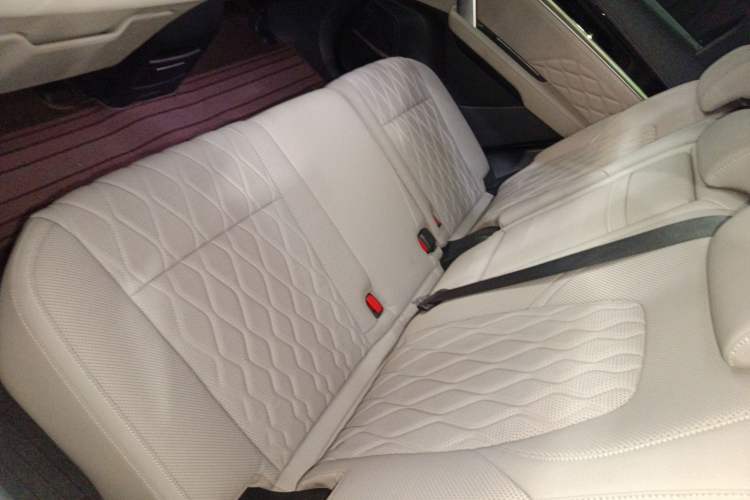 Used BYD Tang New Energy 2024 DM-p Champion Edition 215KM Four-Wheel Drive Deluxe Model Left Rear Seat