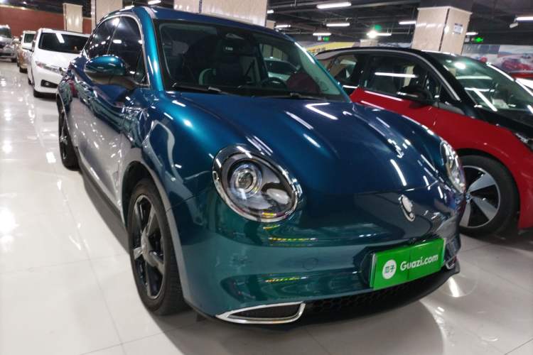 Used ORA Good Cat 2024 401 km Luxury Version