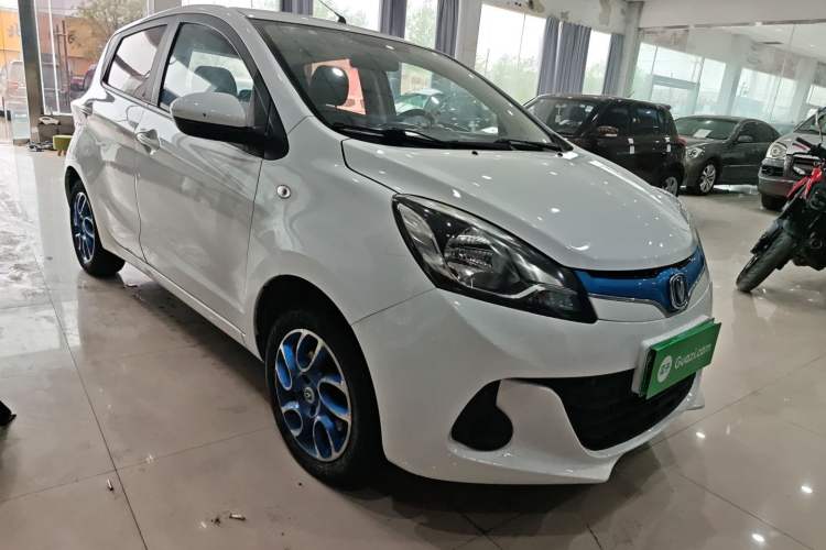 Used CHANGAN Benni EV 2019 EV360 Standard Model Exterior 1