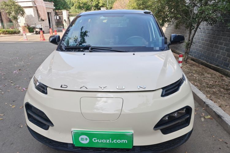 Used Dayun Yuehu 2021 32.85 kWh Two-Wheel-Drive Sprite Version
