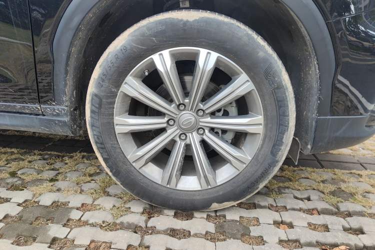 Used GAC Trumpchi GS8 2020 390T Two-Wheel Drive Prestige Version (7 Seats)
