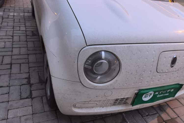 Used ORA Black Cat 2021 301 km Basic Version
