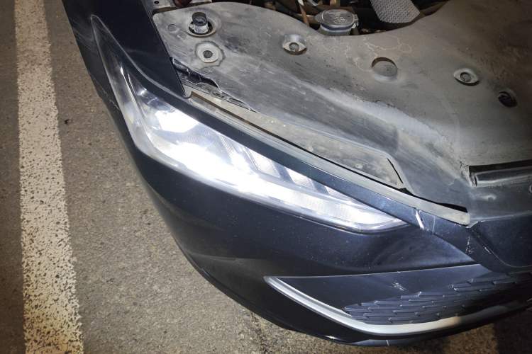 Used BYD Qin PLUS 2023 Champion Edition DM-i 55KM Leading Model
